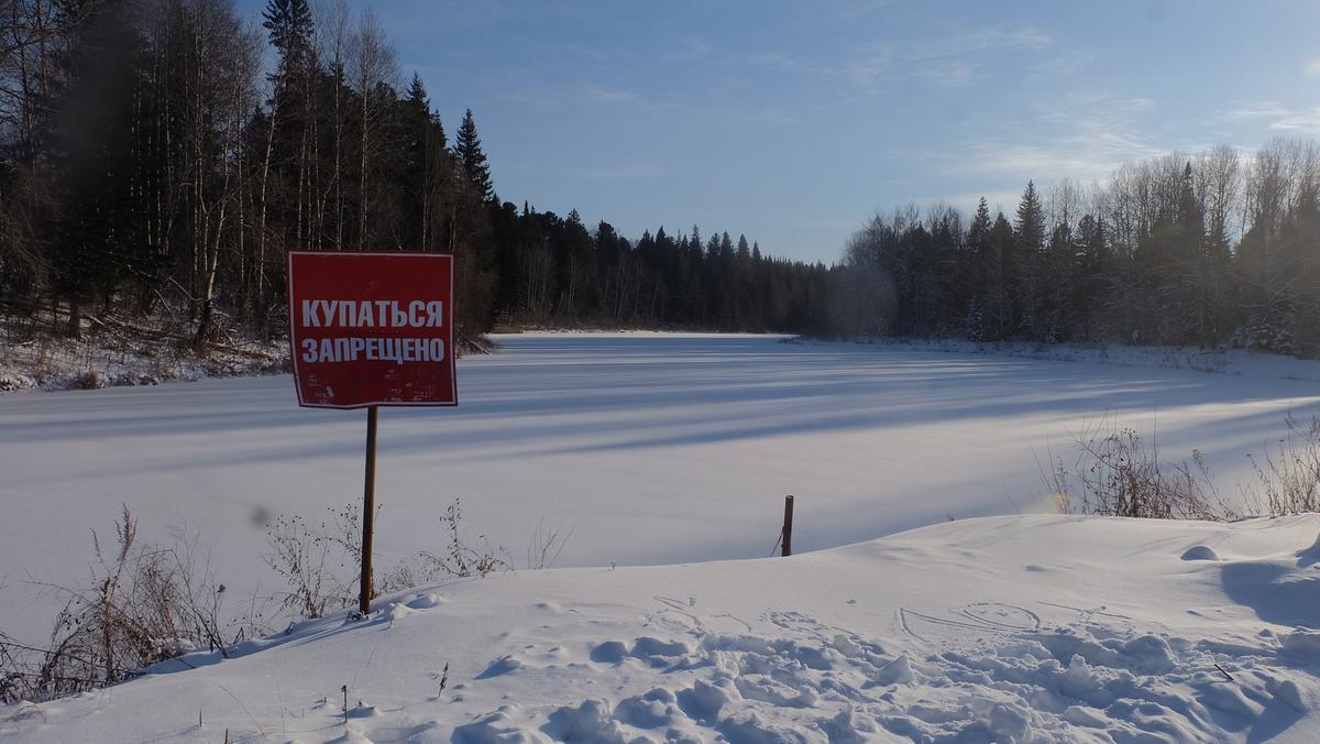 Село Семилужки, Томская область. Фото: Николай Мокроусов