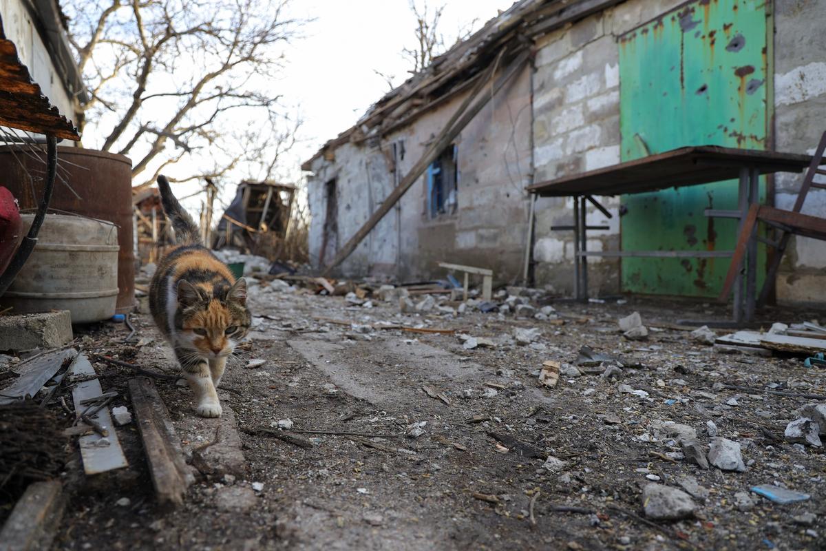 Поврежденное в результате обстрела село Тамарчук возле Марьинки. Фото: EPA-EFE