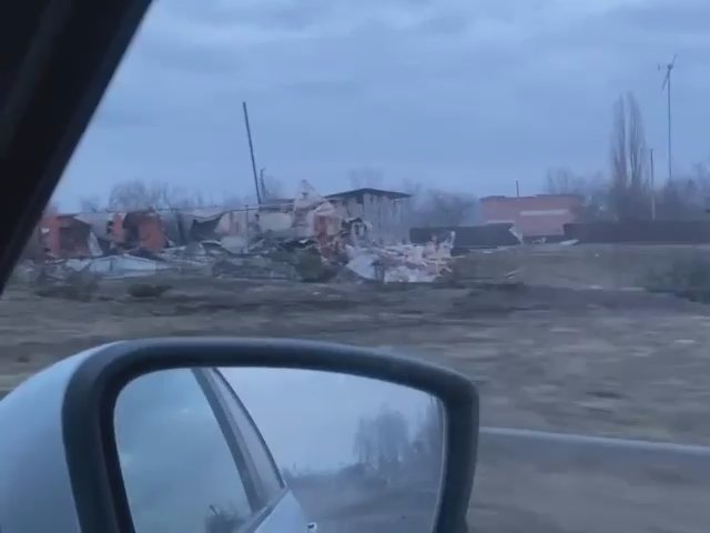 Фото: скриншот видео, Виктория Кареева / VK