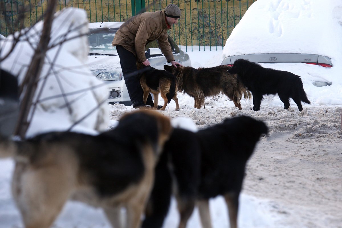 Фото: Михаил Светов / Getty Images